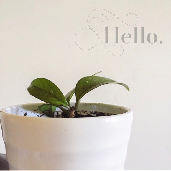 Hello. - Picture 1 of 4